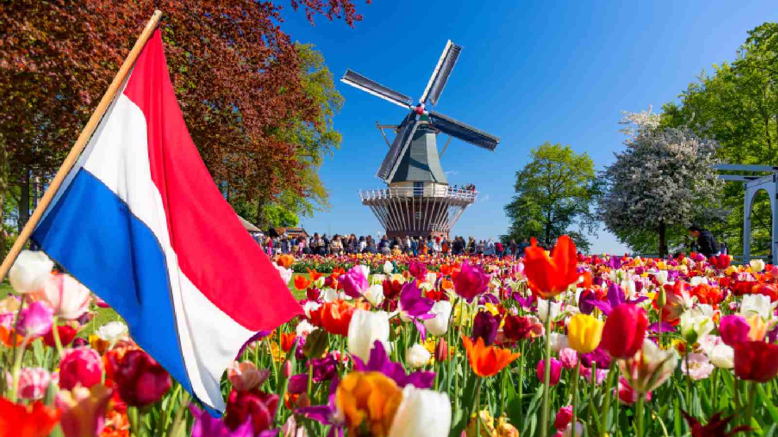 The Netherlands will increase fines for illegal gambling devices fivefold