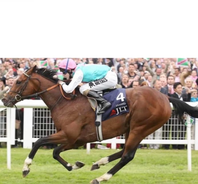 Frankel: The Unrivaled Thoroughbred Legend