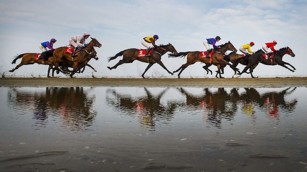 US Horse Racing Information Now Available on The Racing App